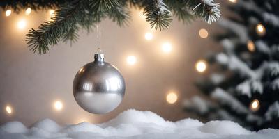The primary subject of the image is a silver Christmas ornament hanging from a tree. The setting is a snowy environment, with the ornament surrounded by snow. The visual style is a photo, capturing the ornament in its natural surroundings. The colors and mood of the image are predominantly white, with the silver ornament and snow creating a serene and festive atmosphere.